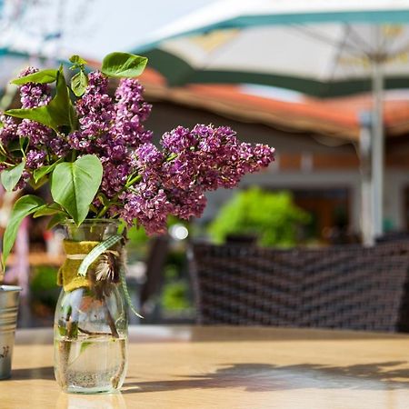 Gaenschen Klein Apartment Ellscheid Екстериор снимка
